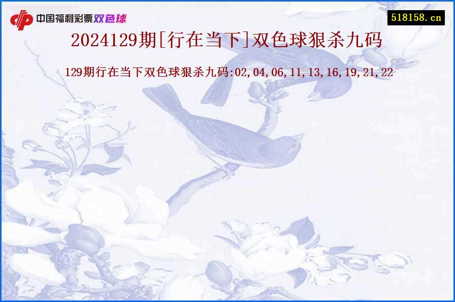 2024129期[行在当下]双色球狠杀九码