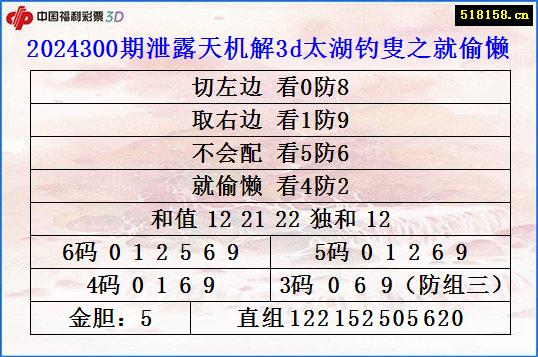 2024300期泄露天机解3d太湖钓叟之就偷懒