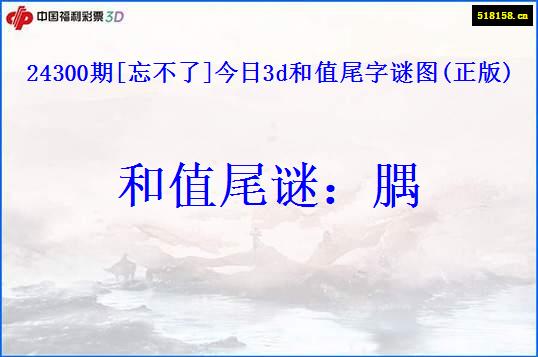 24300期[忘不了]今日3d和值尾字谜图(正版)