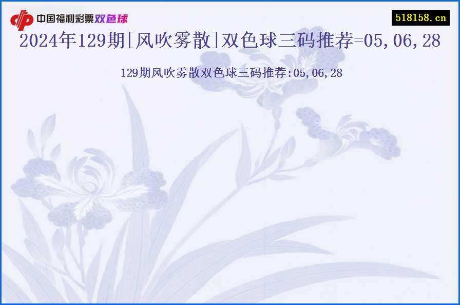 2024年129期[风吹雾散]双色球三码推荐=05,06,28