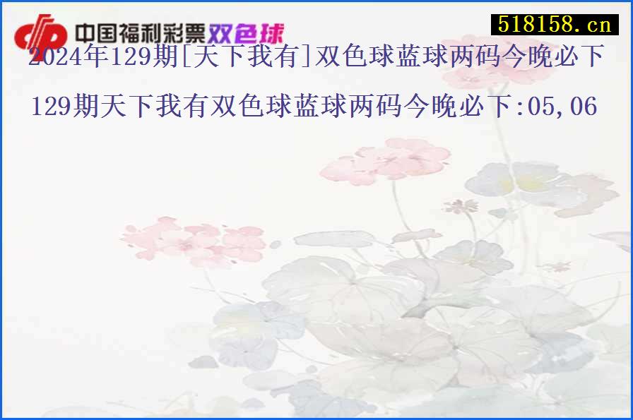 2024年129期[天下我有]双色球蓝球两码今晚必下