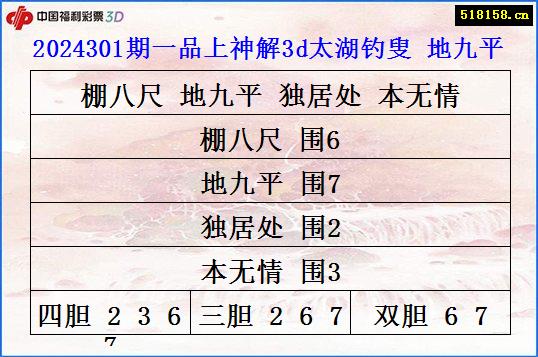 2024301期一品上神解3d太湖钓叟 地九平