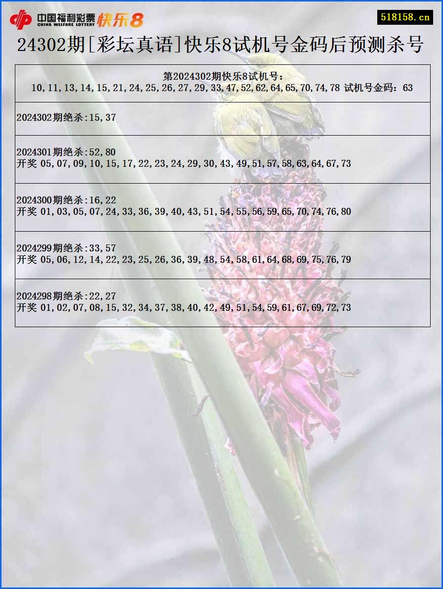 24302期[彩坛真语]快乐8试机号金码后预测杀号