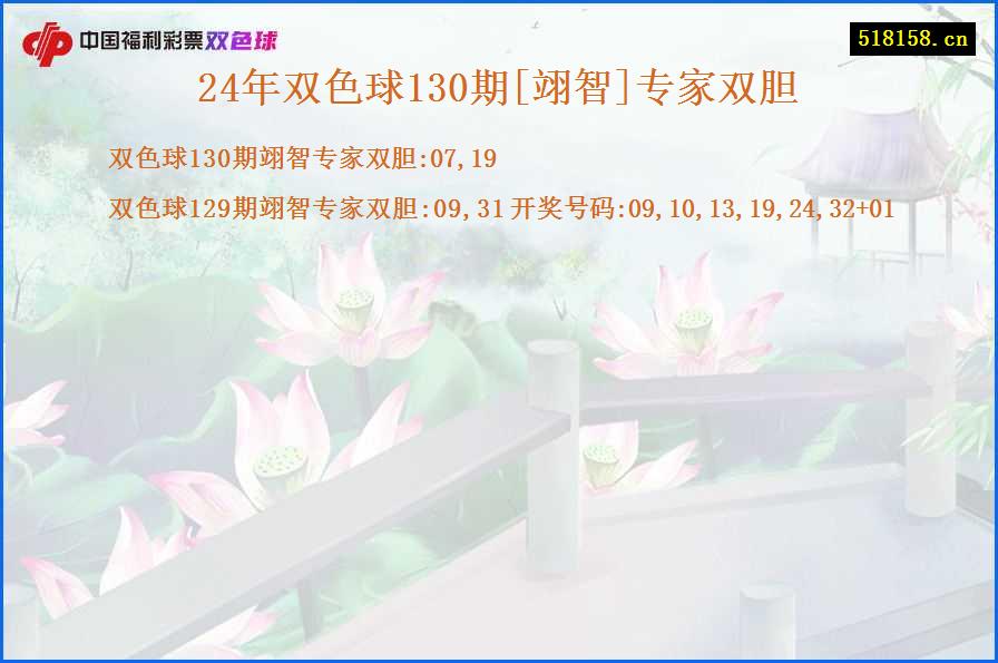 24年双色球130期[翊智]专家双胆