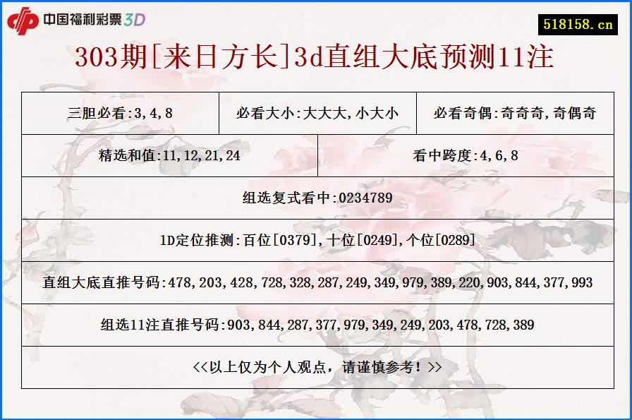 303期[来日方长]3d直组大底预测11注