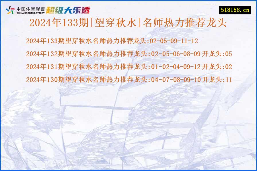 2024年133期[望穿秋水]名师热力推荐龙头