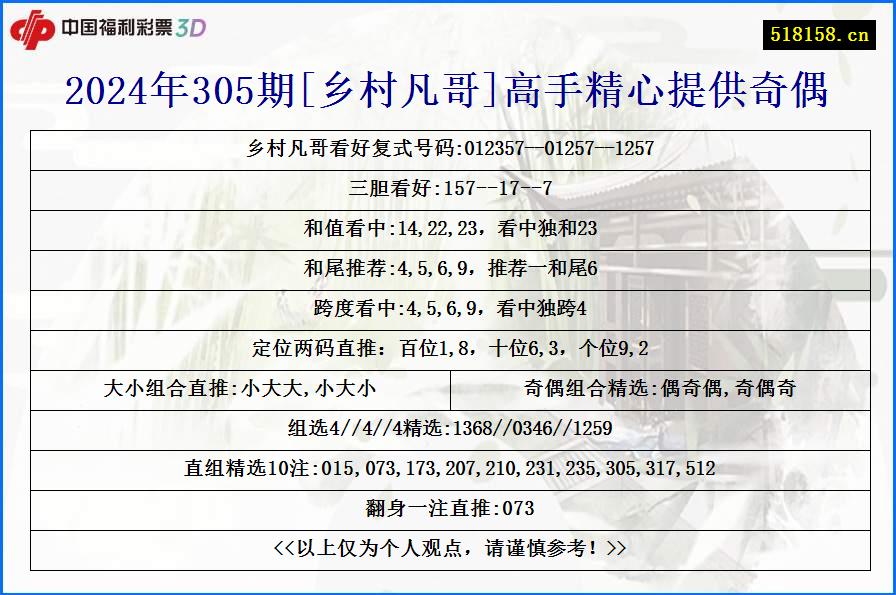 2024年305期[乡村凡哥]高手精心提供奇偶