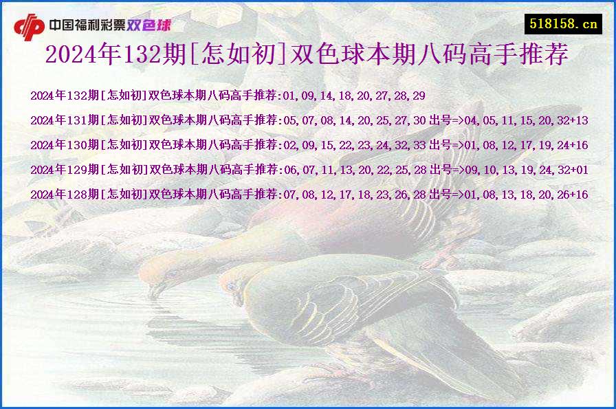 2024年132期[怎如初]双色球本期八码高手推荐