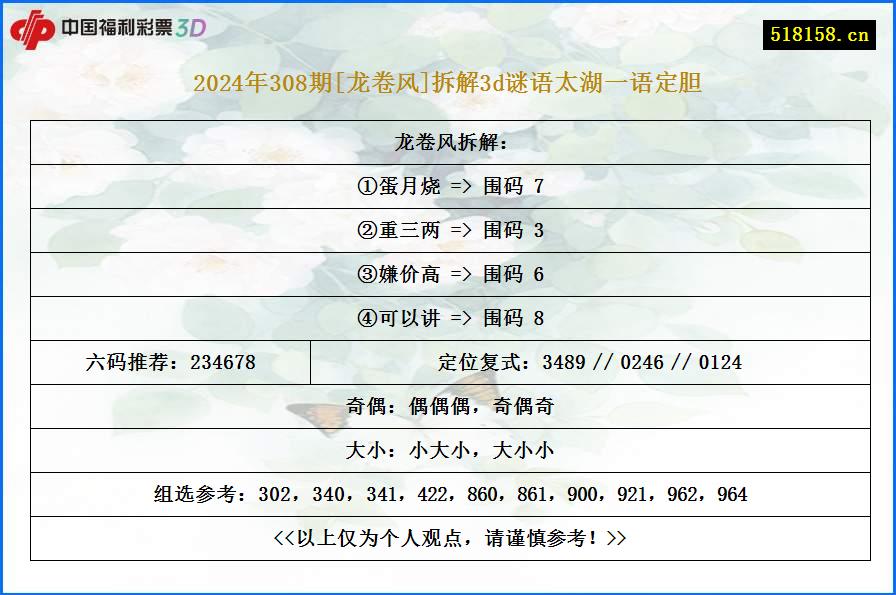 2024年308期[龙卷风]拆解3d谜语太湖一语定胆