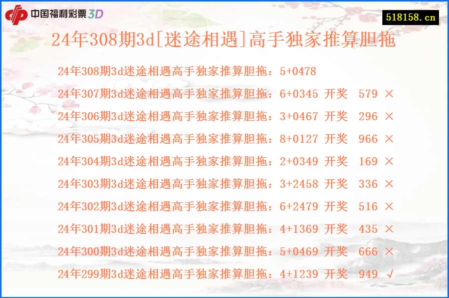 24年308期3d[迷途相遇]高手独家推算胆拖