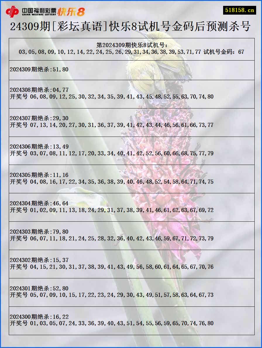 24309期[彩坛真语]快乐8试机号金码后预测杀号