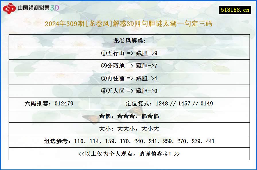 2024年309期[龙卷风]解惑3D四句胆谜太湖一句定三码