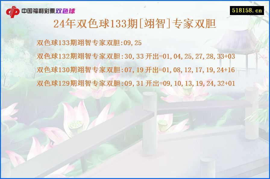 24年双色球133期[翊智]专家双胆