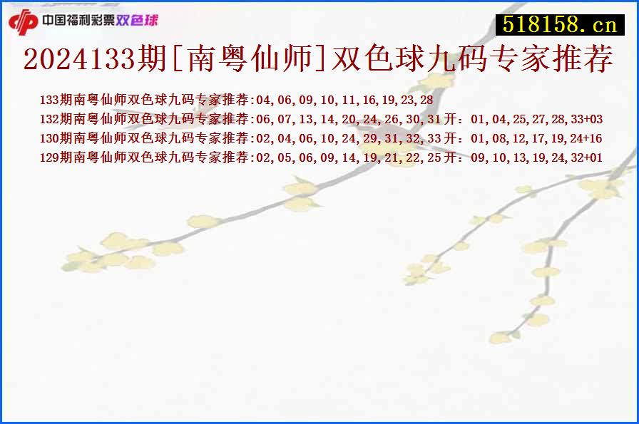 2024133期[南粤仙师]双色球九码专家推荐