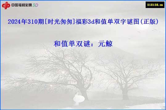 2024年310期[时光匆匆]福彩3d和值单双字谜图(正版)