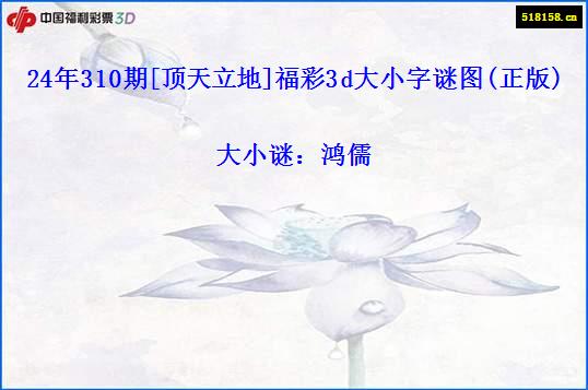 24年310期[顶天立地]福彩3d大小字谜图(正版)