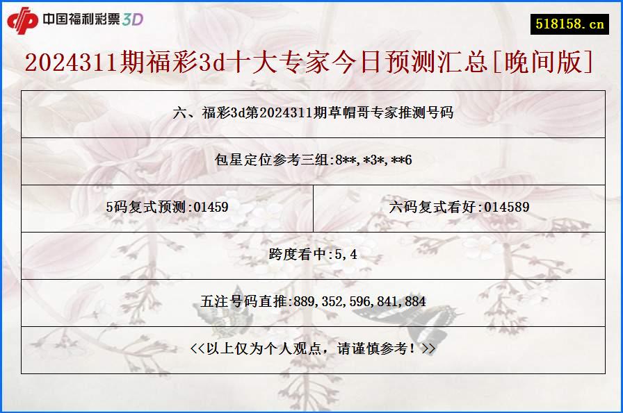 六、福彩3d第2024311期草帽哥专家推测号码