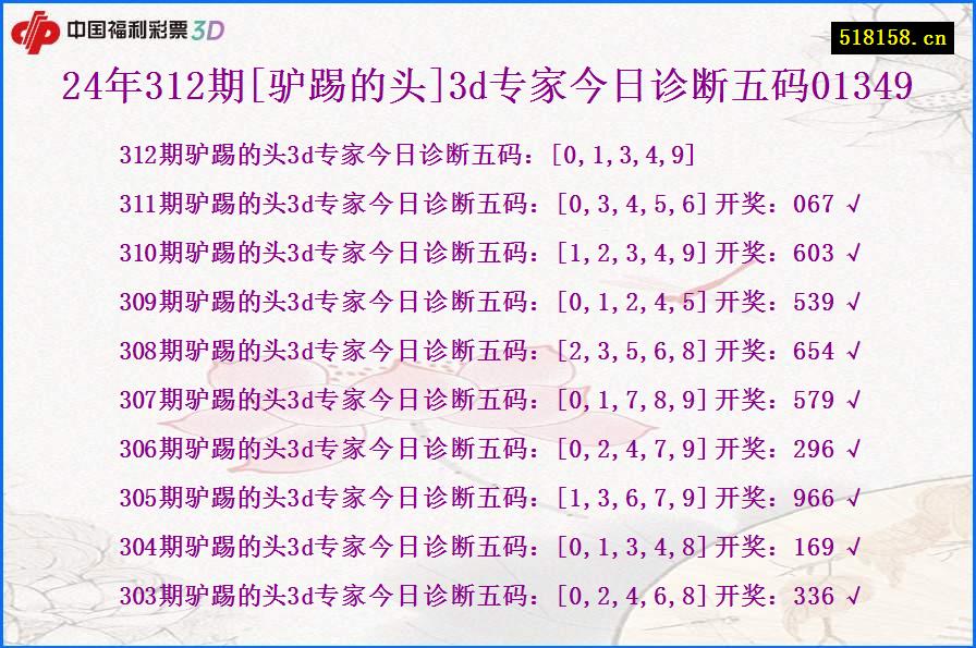 24年312期[驴踢的头]3d专家今日诊断五码01349