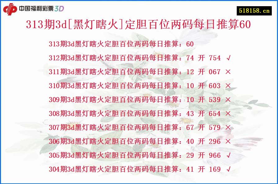 313期3d[黑灯瞎火]定胆百位两码每日推算60