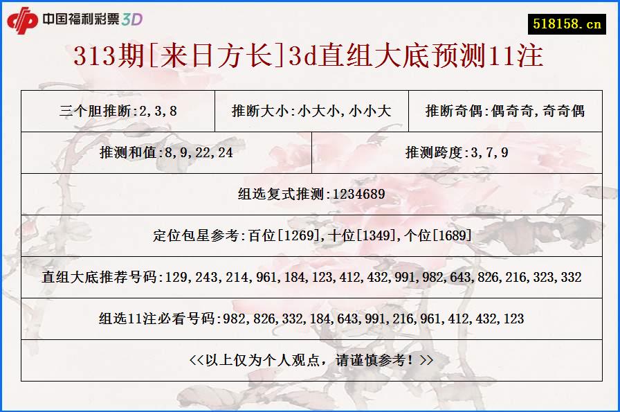 313期[来日方长]3d直组大底预测11注