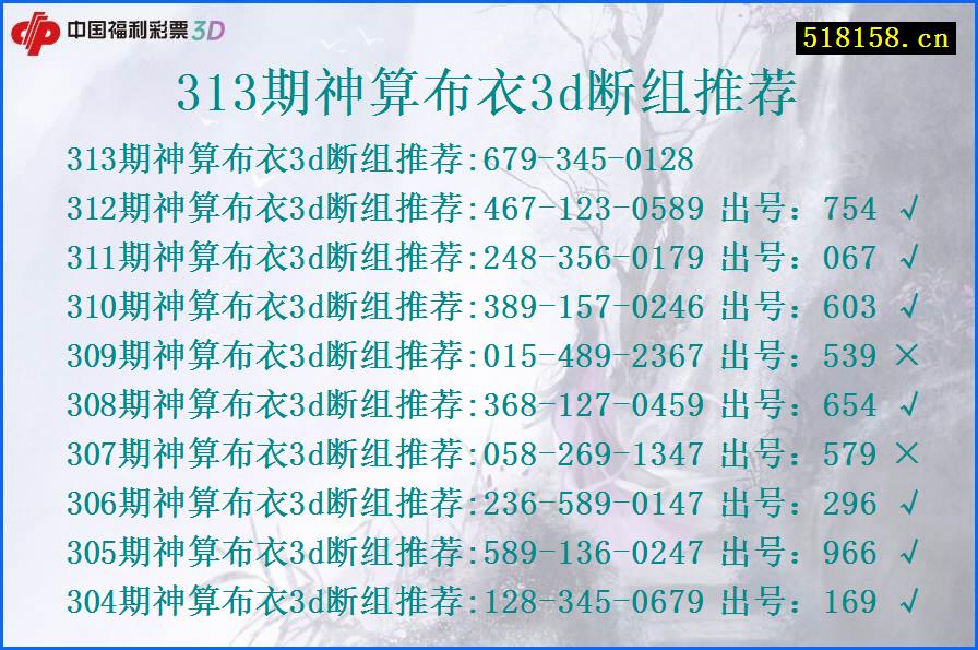 313期神算布衣3d断组推荐