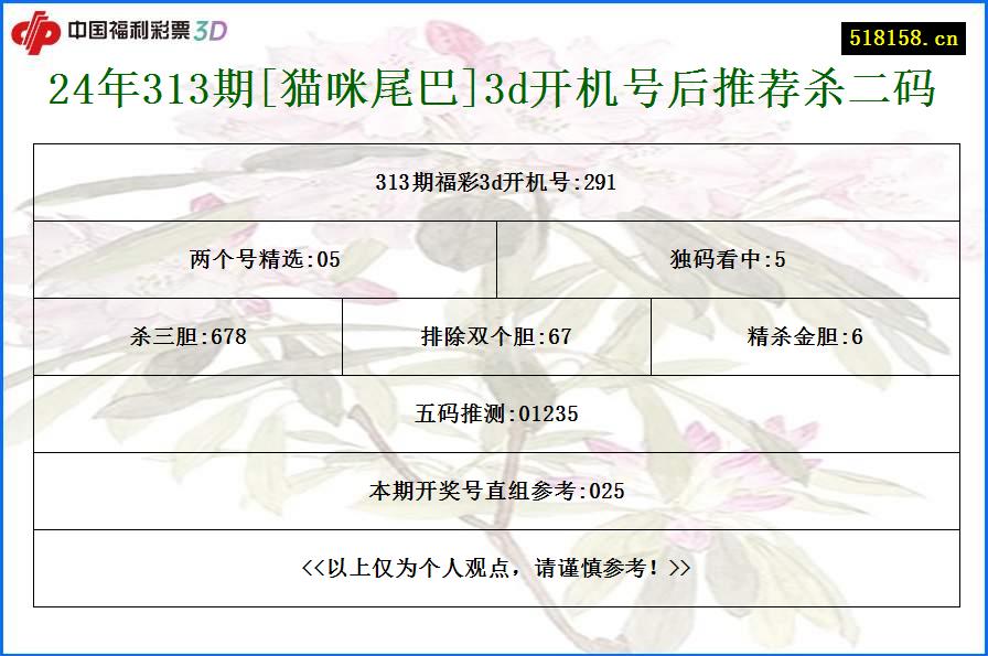 24年313期[猫咪尾巴]3d开机号后推荐杀二码