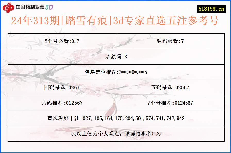 24年313期[踏雪有痕]3d专家直选五注参考号