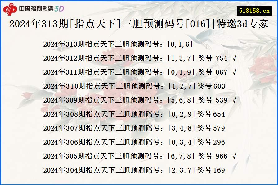 2024年313期[指点天下]三胆预测码号[016]|特邀3d专家