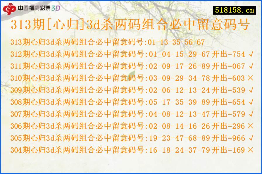 313期[心归]3d杀两码组合必中留意码号