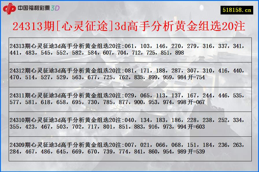 24313期[心灵征途]3d高手分析黄金组选20注