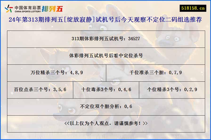 24年第313期排列五[绽放寂静]试机号后今天观察不定位二码组选推荐