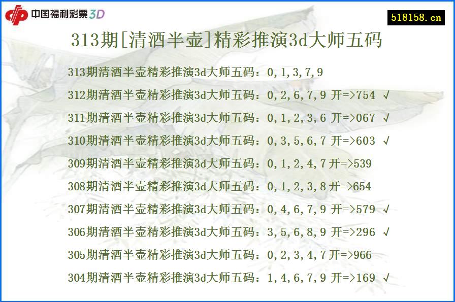 313期[清酒半壶]精彩推演3d大师五码