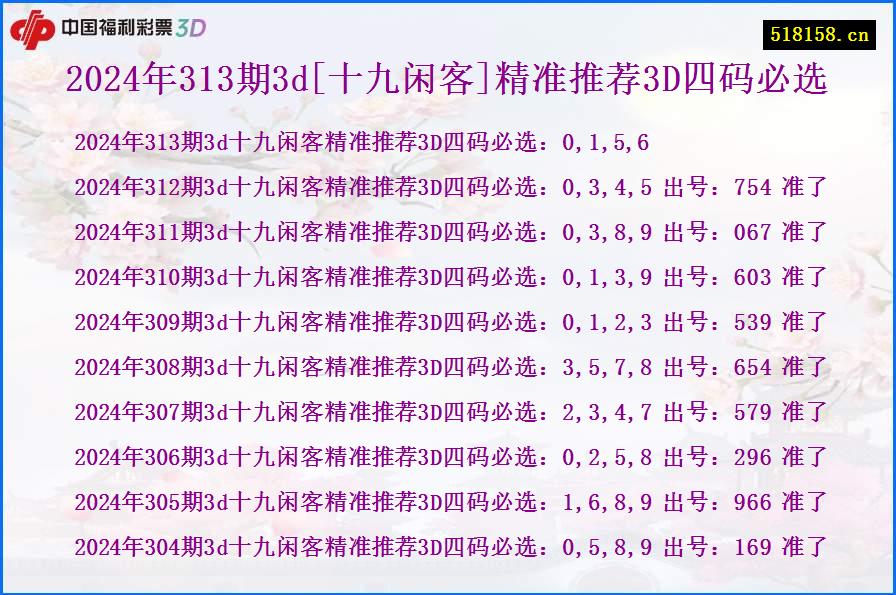 2024年313期3d[十九闲客]精准推荐3D四码必选