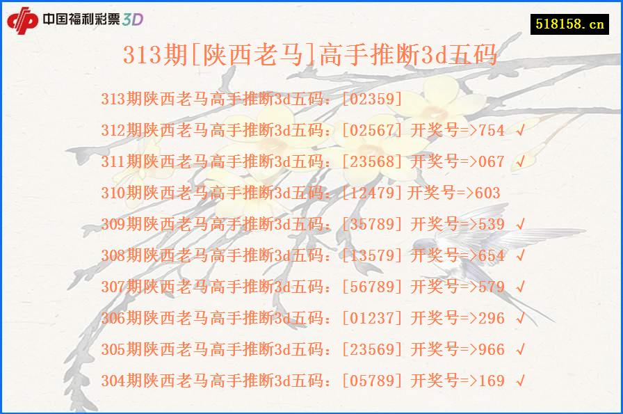 313期[陕西老马]高手推断3d五码