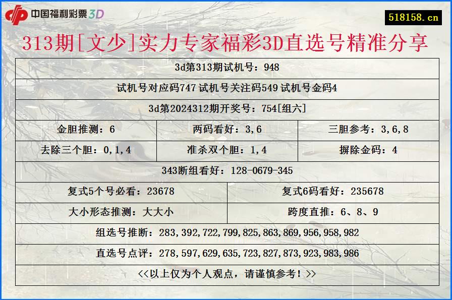 313期[文少]实力专家福彩3D直选号精准分享