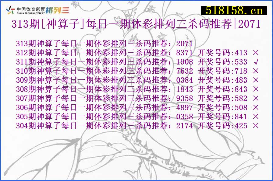 313期[神算子]每日一期体彩排列三杀码推荐|2071