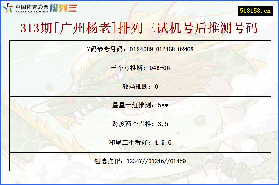 313期[广州杨老]排列三试机号后推测号码