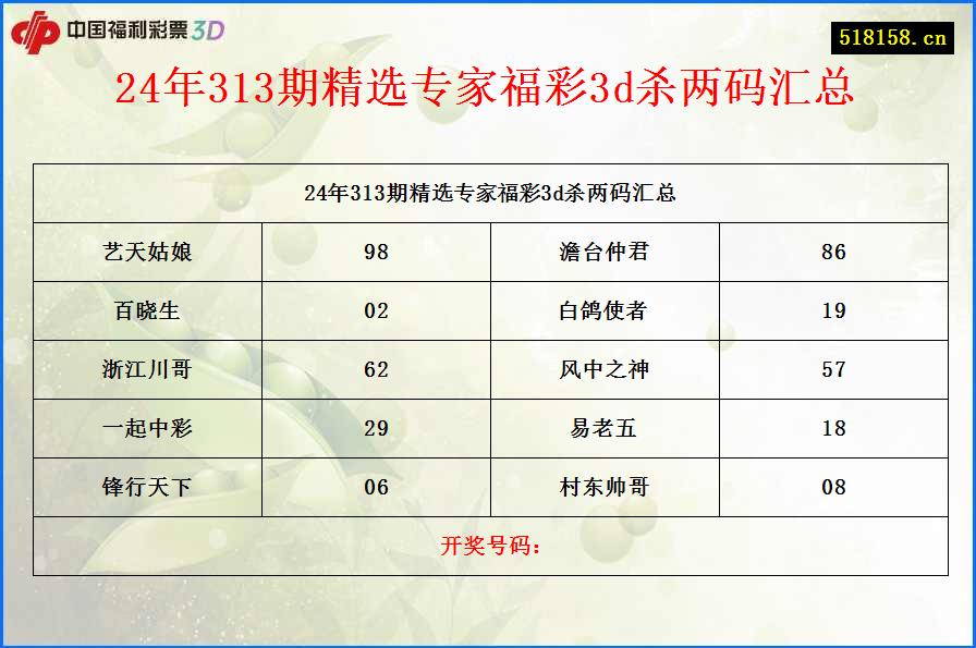 24年313期精选专家福彩3d杀两码汇总
