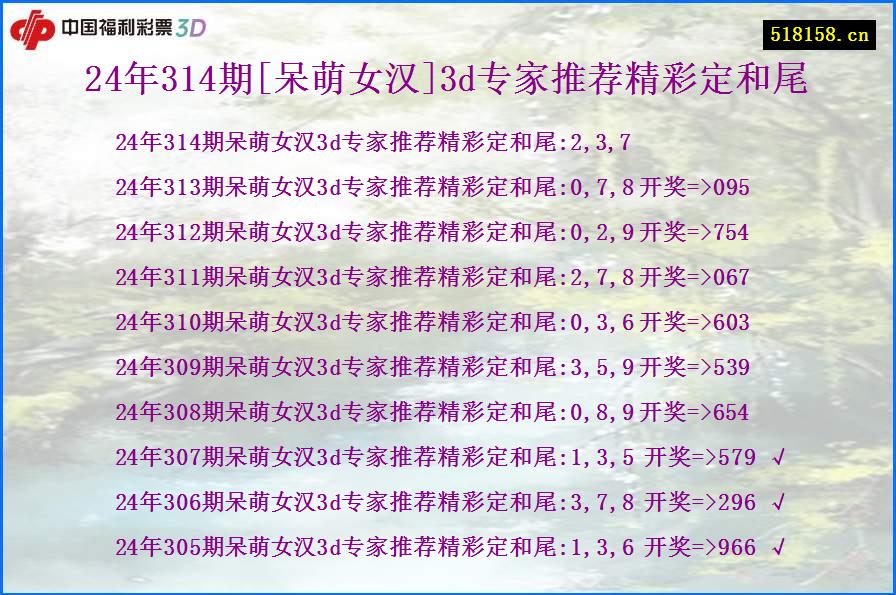 24年314期[呆萌女汉]3d专家推荐精彩定和尾