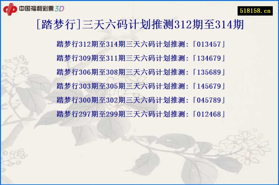 [踏梦行]三天六码计划推测312期至314期