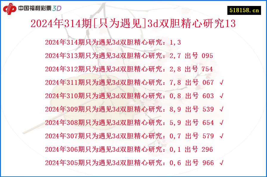 2024年314期[只为遇见]3d双胆精心研究13