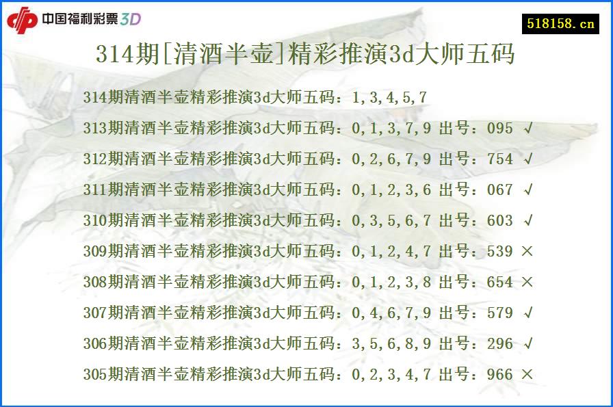 314期[清酒半壶]精彩推演3d大师五码