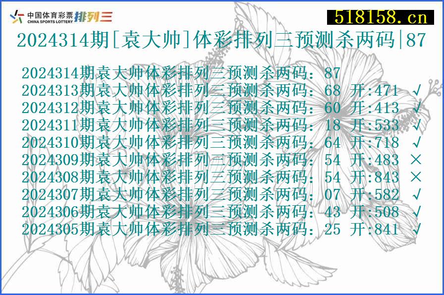 2024314期[袁大帅]体彩排列三预测杀两码|87