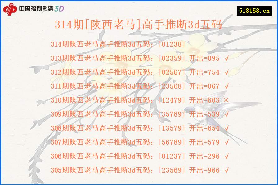 314期[陕西老马]高手推断3d五码