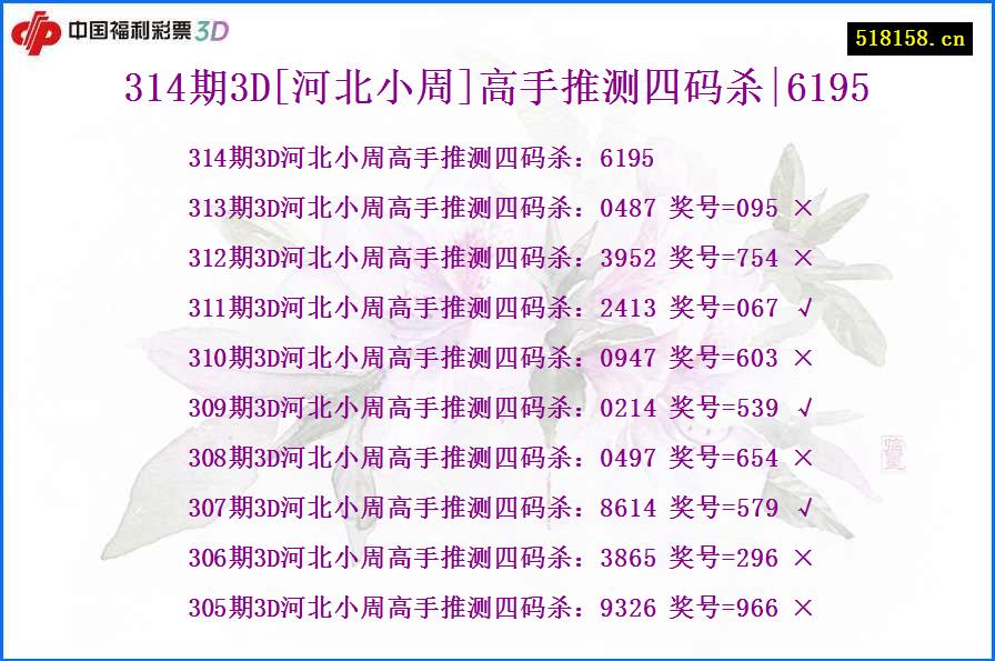 314期3D[河北小周]高手推测四码杀|6195