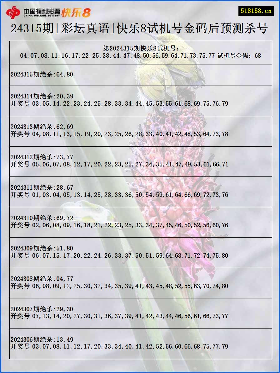 24315期[彩坛真语]快乐8试机号金码后预测杀号