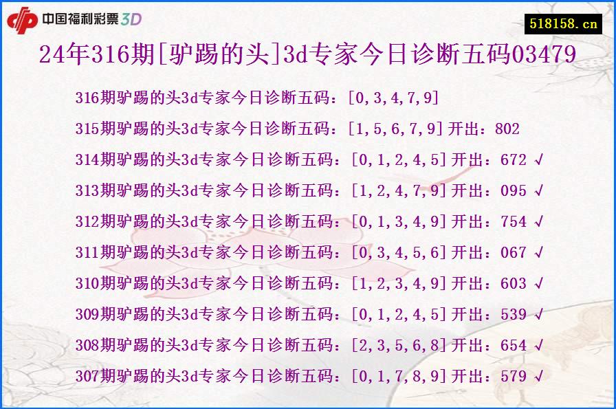 24年316期[驴踢的头]3d专家今日诊断五码03479