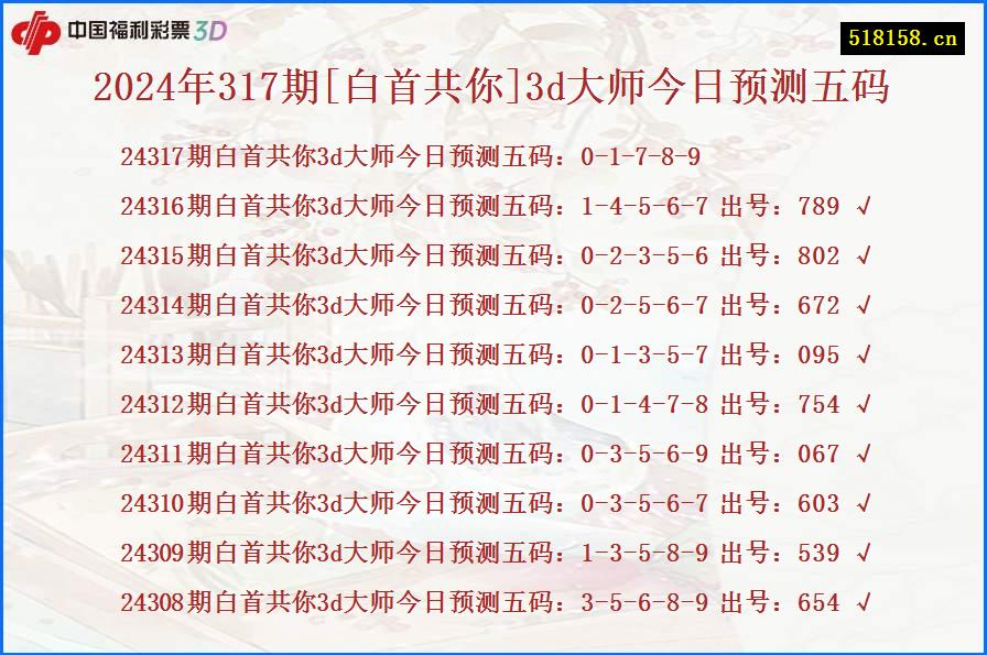 2024年317期[白首共你]3d大师今日预测五码