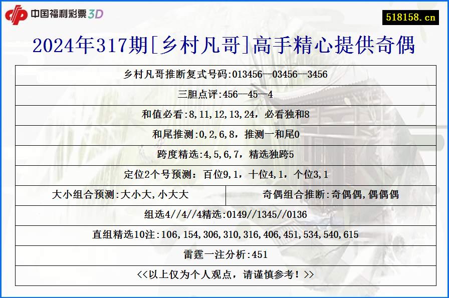 2024年317期[乡村凡哥]高手精心提供奇偶