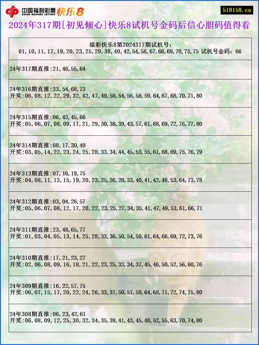 2024年317期[初见倾心]快乐8试机号金码后信心胆码值得看